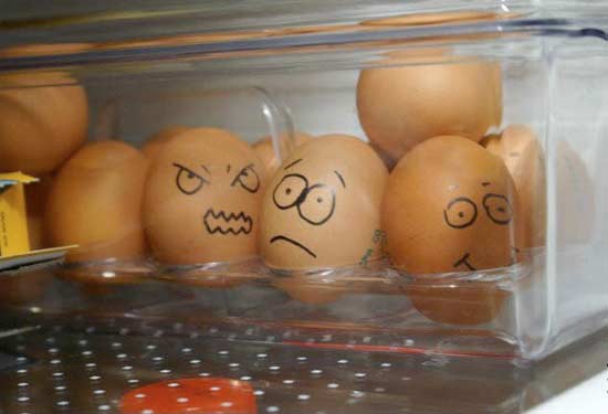 Eier Kühlschrank